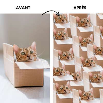 Vente En Ligne Avec Carton Et Chats
